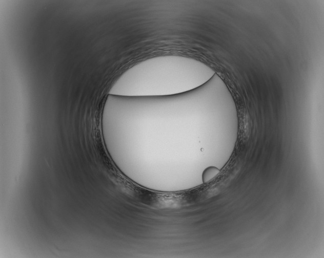 X0000116580226200912101317