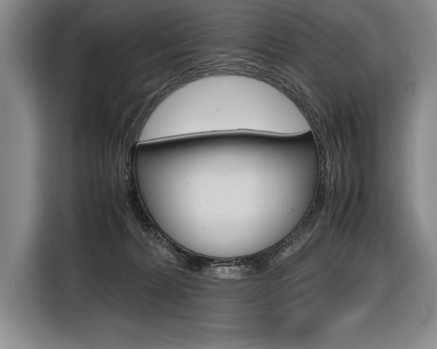 X0000116580228200912101316