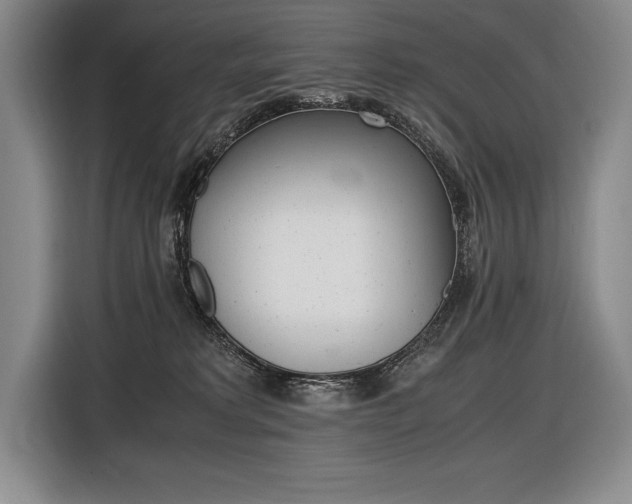X0000116580229200912101316