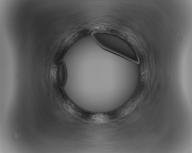 X0000116580231200912101316