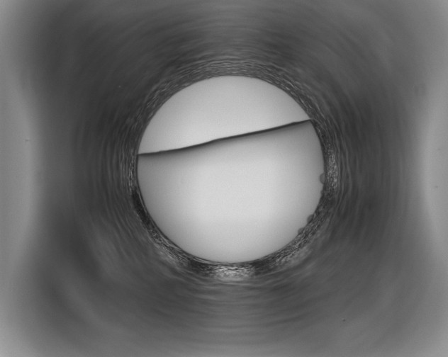 X0000116580234200912101316