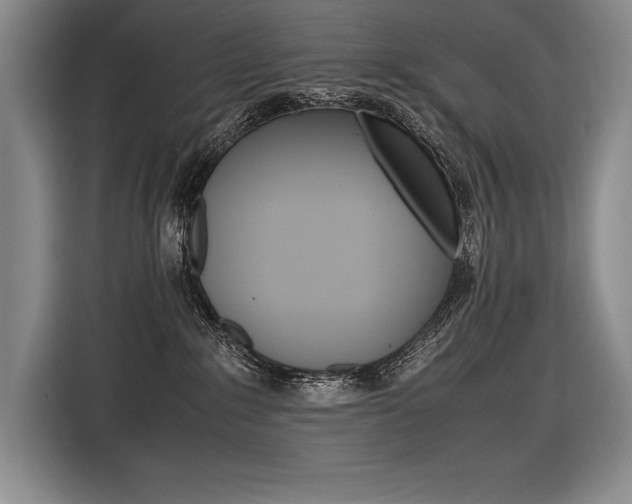 X0000116580235200912101316