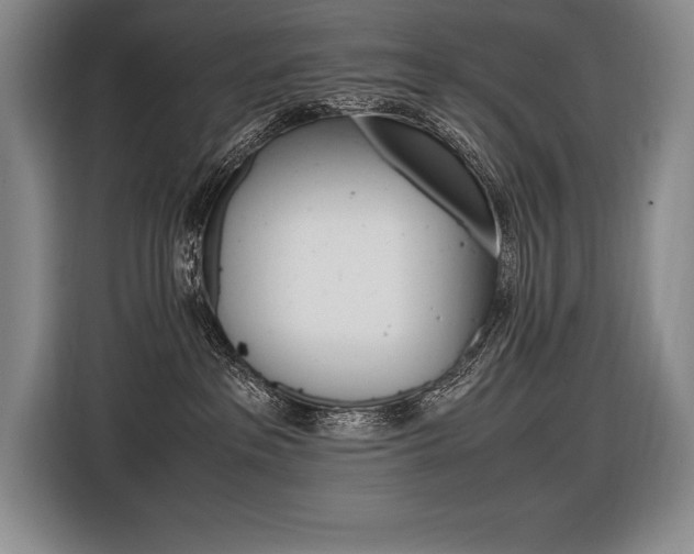 X0000116580237200912101316