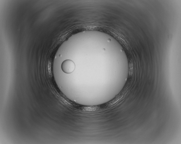 X0000116580238200912101316