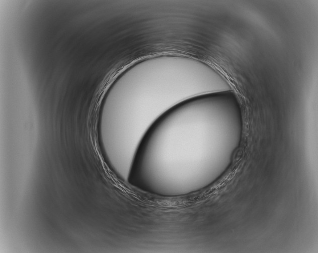 X0000116580241200912101316