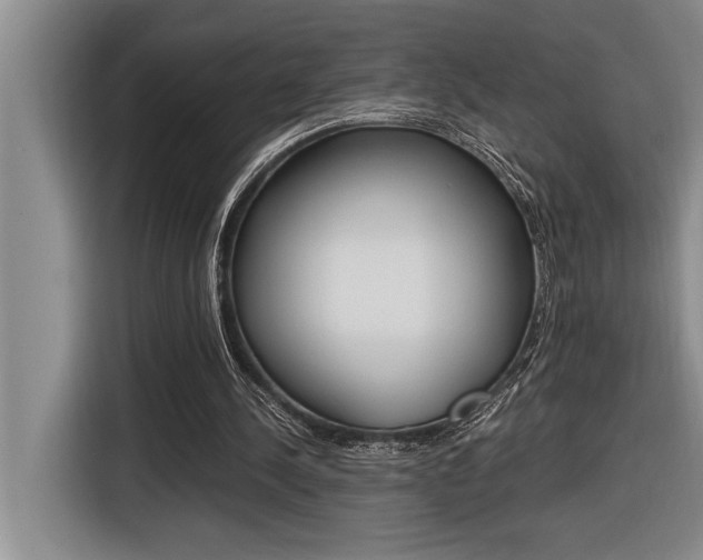 X0000116580244200912101316