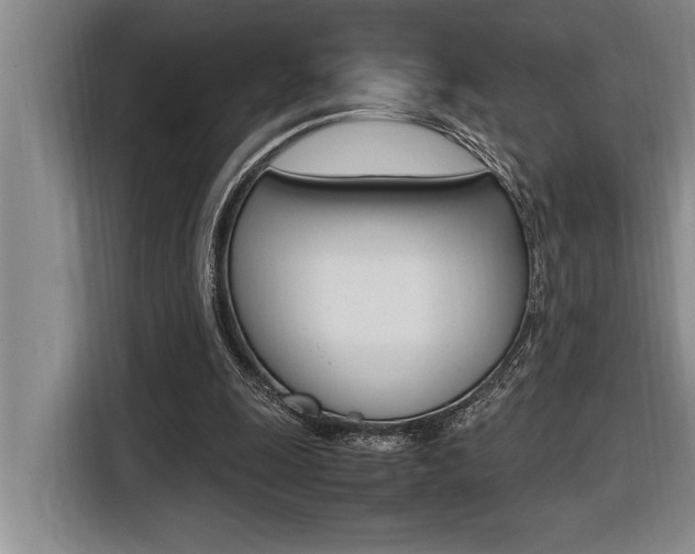 X0000116580247200912101316