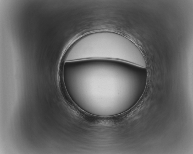 X0000116580248200912101316