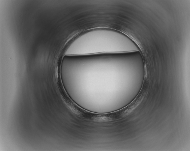 X0000116580253200912101316