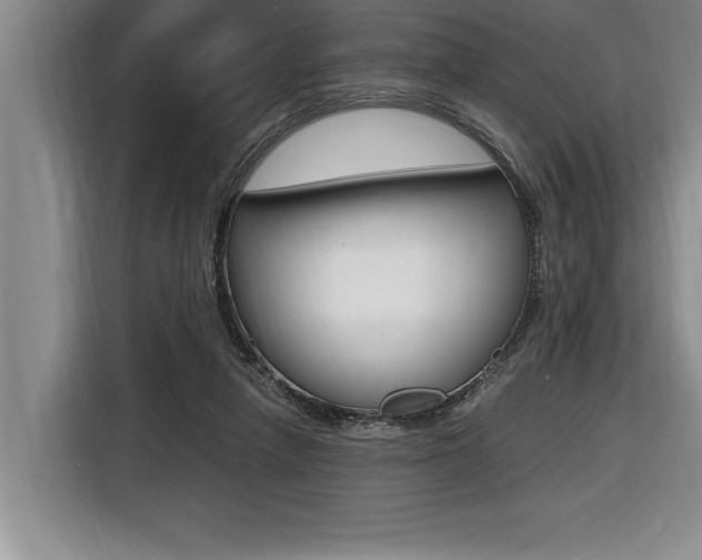 X0000116580258200912101316