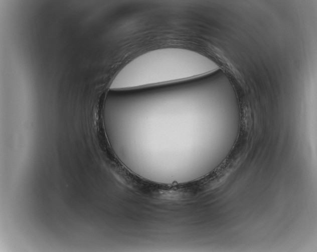 X0000116580259200912101316