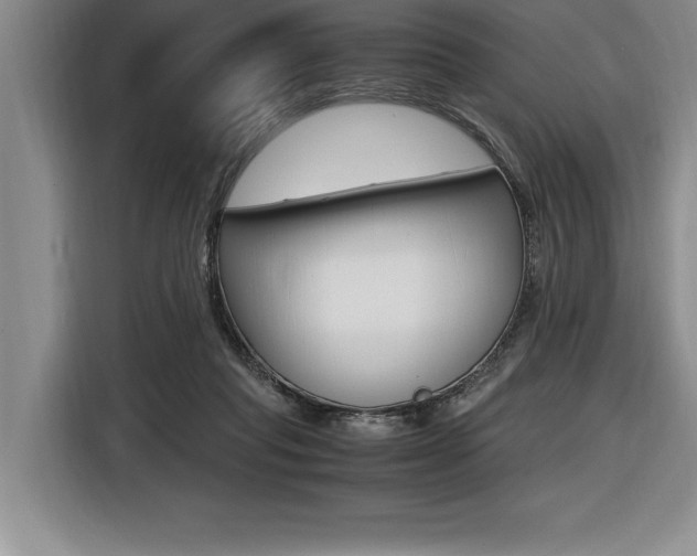 X0000116580261200912101316