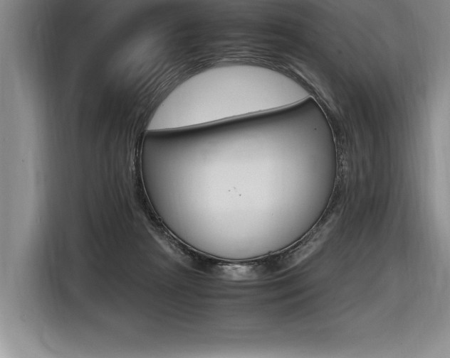 X0000116580265200912101316