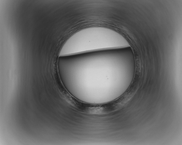 X0000116580266200912101316