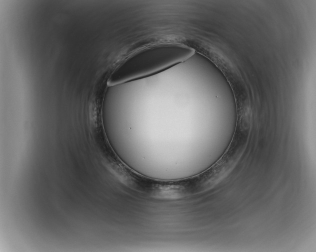 X0000116580268200912101316