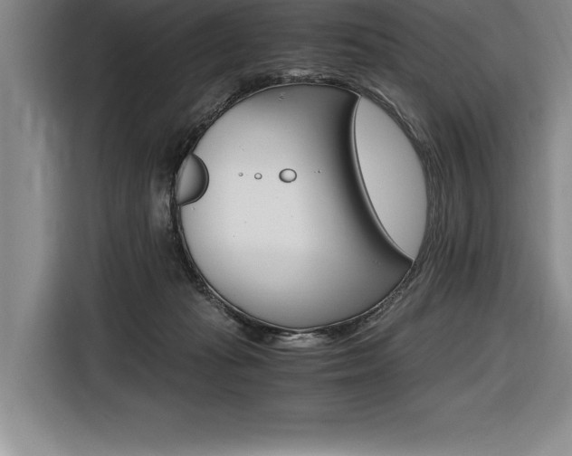 X0000116580269200912101316