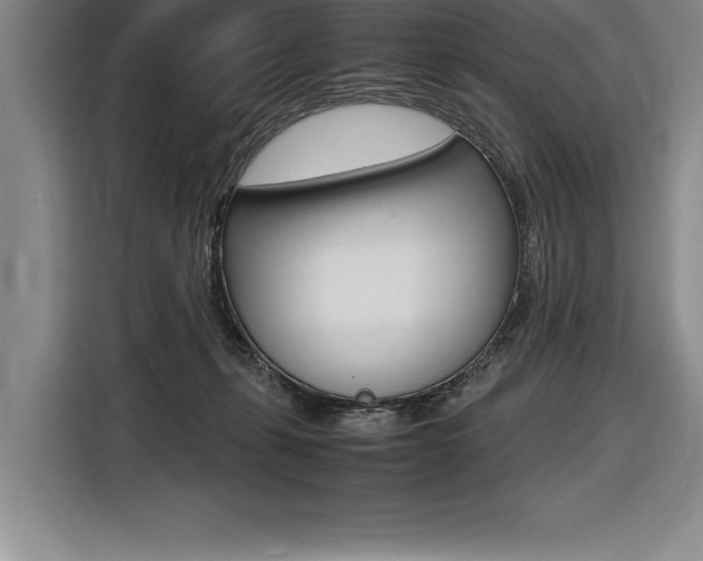 X0000116580271200912101316