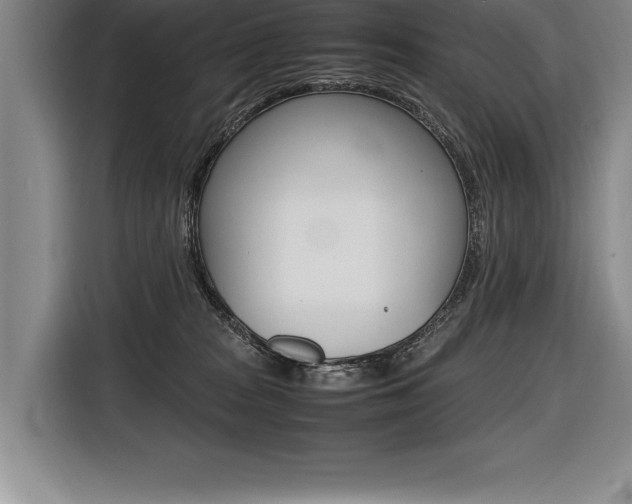 X0000116580277200912101316