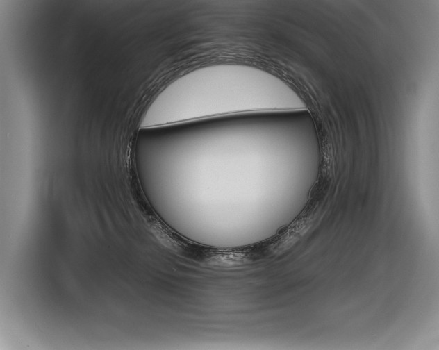 X0000116580278200912101316