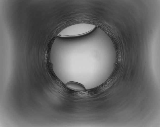 X0000116580279200912101316