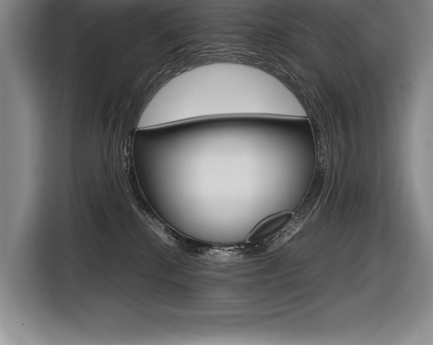 X0000116580280200912101316