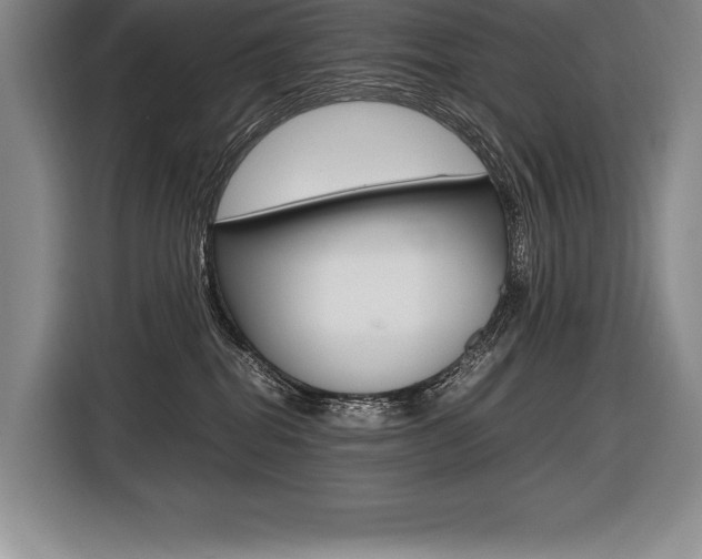 X0000116580282200912101316