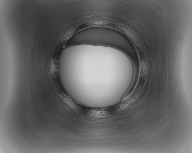 X0000116580284200912101316