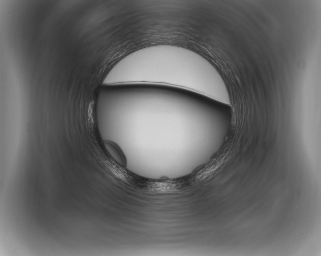 X0000116580286200912101316