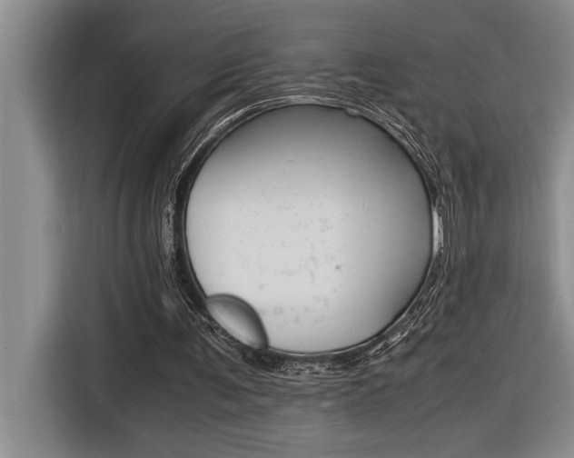 X0000116580291200912101316