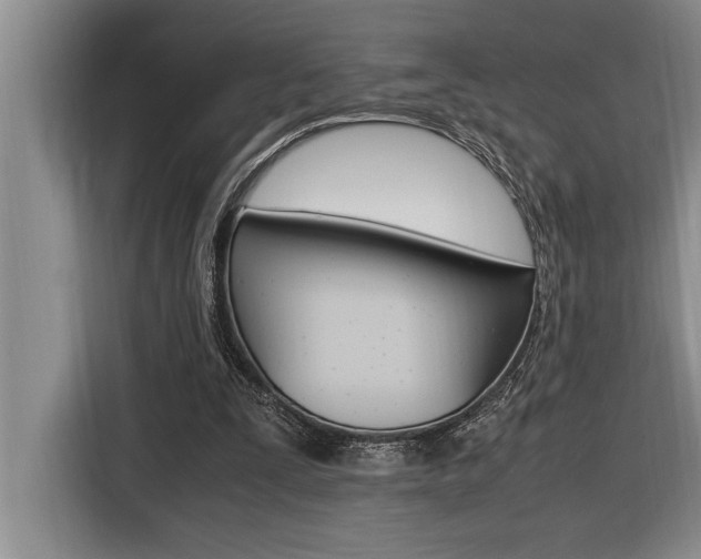 X0000116580295200912101316
