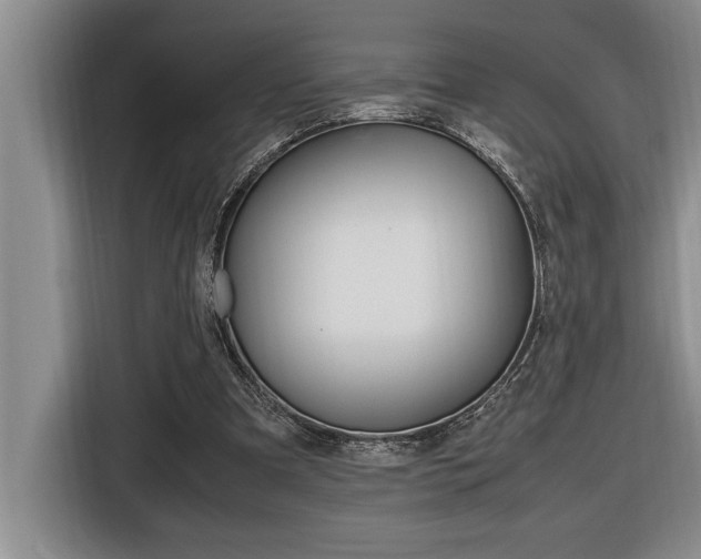 X0000116580297200912101315