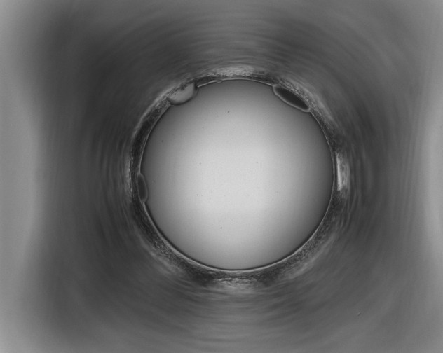 X0000116580300200912101315