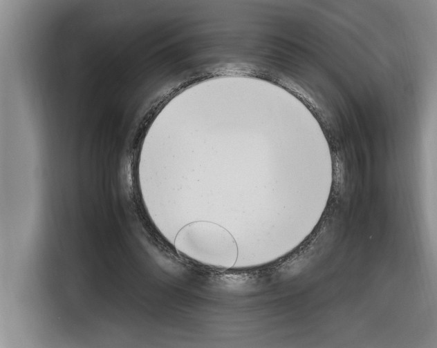 X0000116580302200912101315