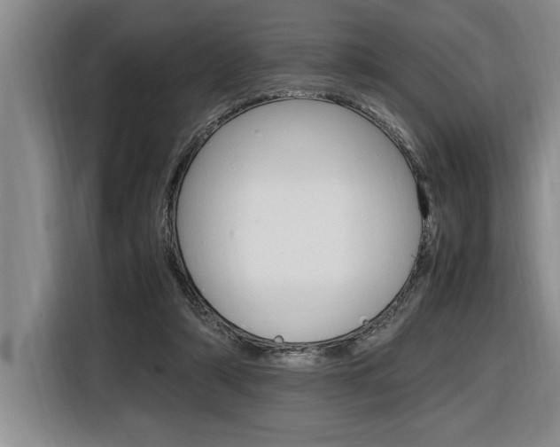 X0000116580306200912101315