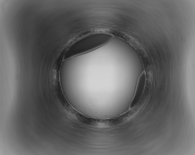 X0000116580308200912101315