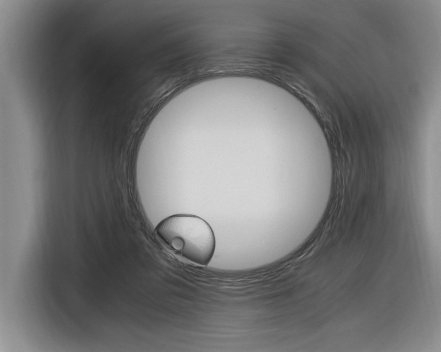X0000116580309200912101315
