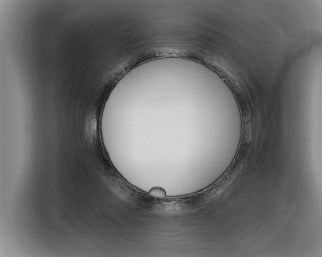 X0000116580310200912101315