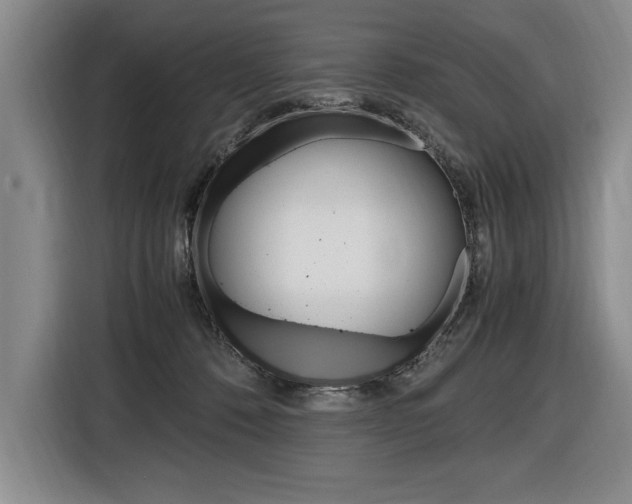 X0000116580320200912101315