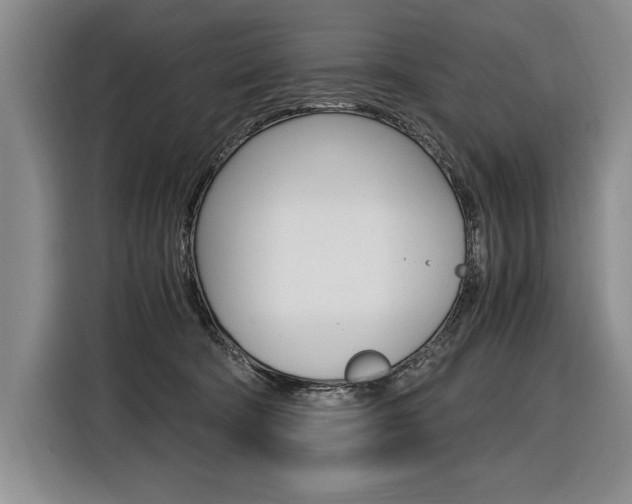 X0000116580322200912101315
