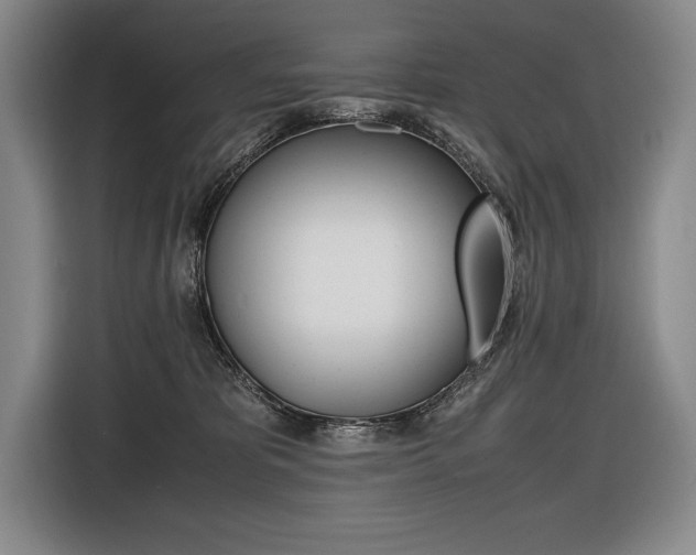 X0000116580325200912101315