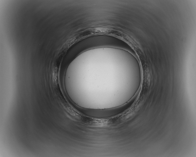 X0000116580328200912101315