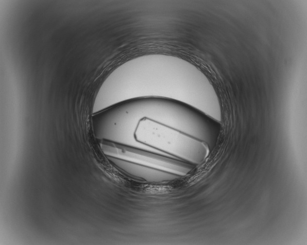 X0000116580332200912101315