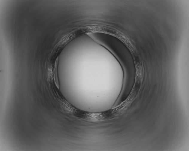 X0000116580333200912101315