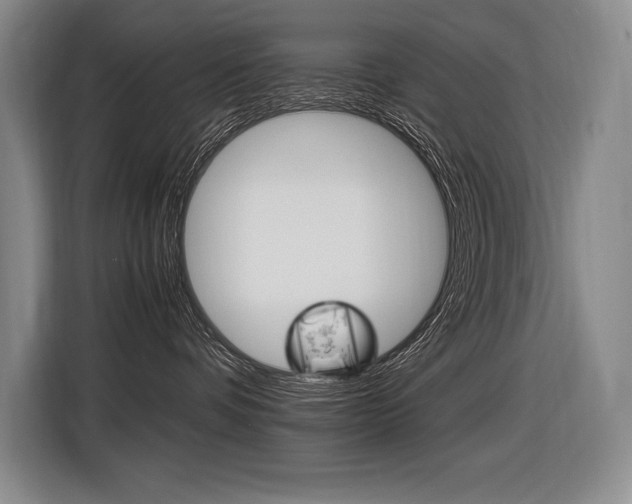 X0000116580336200912101315