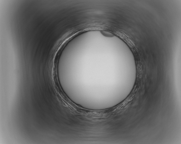 X0000116580338200912101314