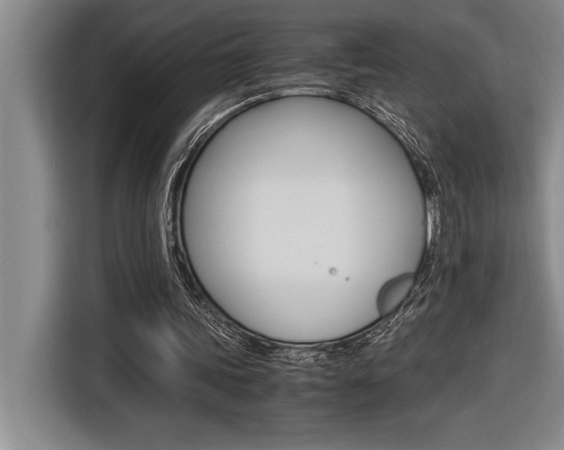 X0000116580339200912101314
