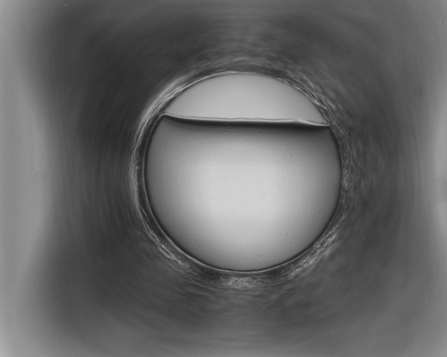 X0000116580341200912101314