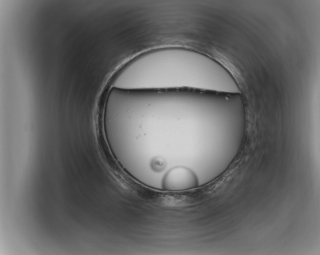 X0000116580346200912101314