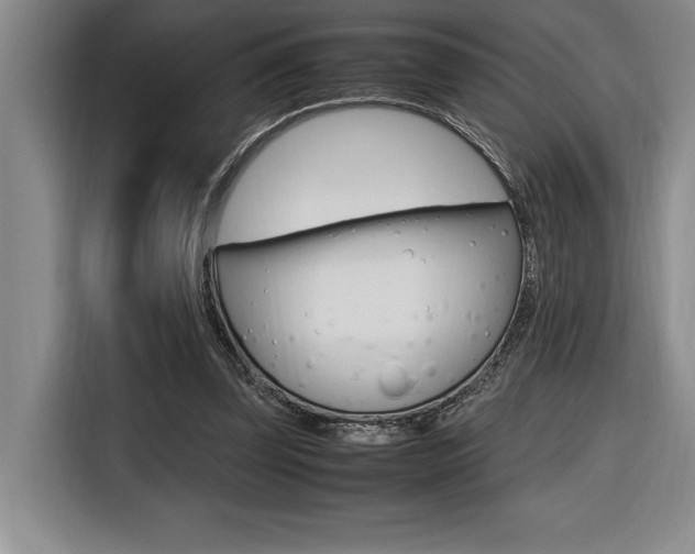 X0000116580347200912101314