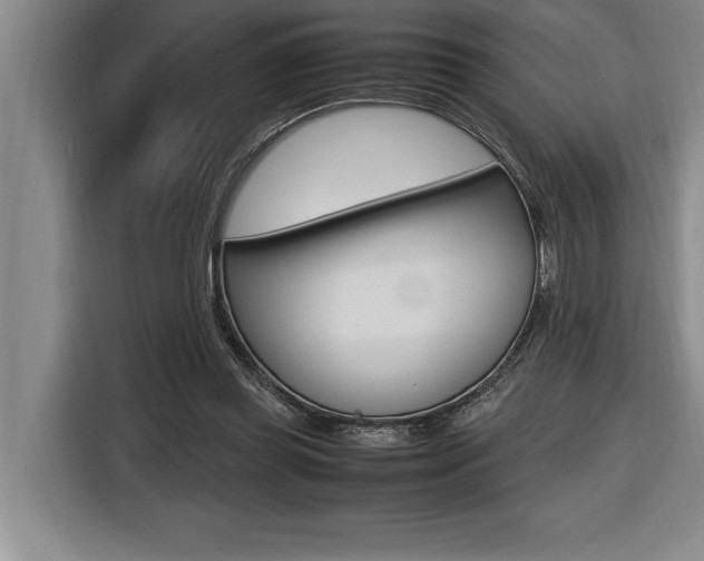 X0000116580349200912101314